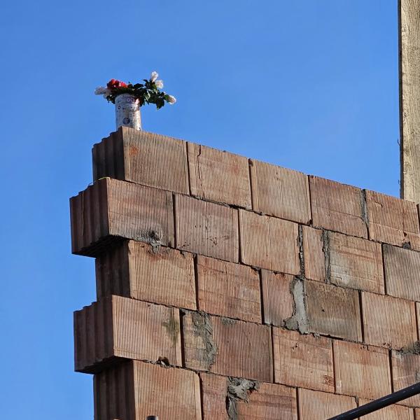 4818977975782209686011064415377204422685955n